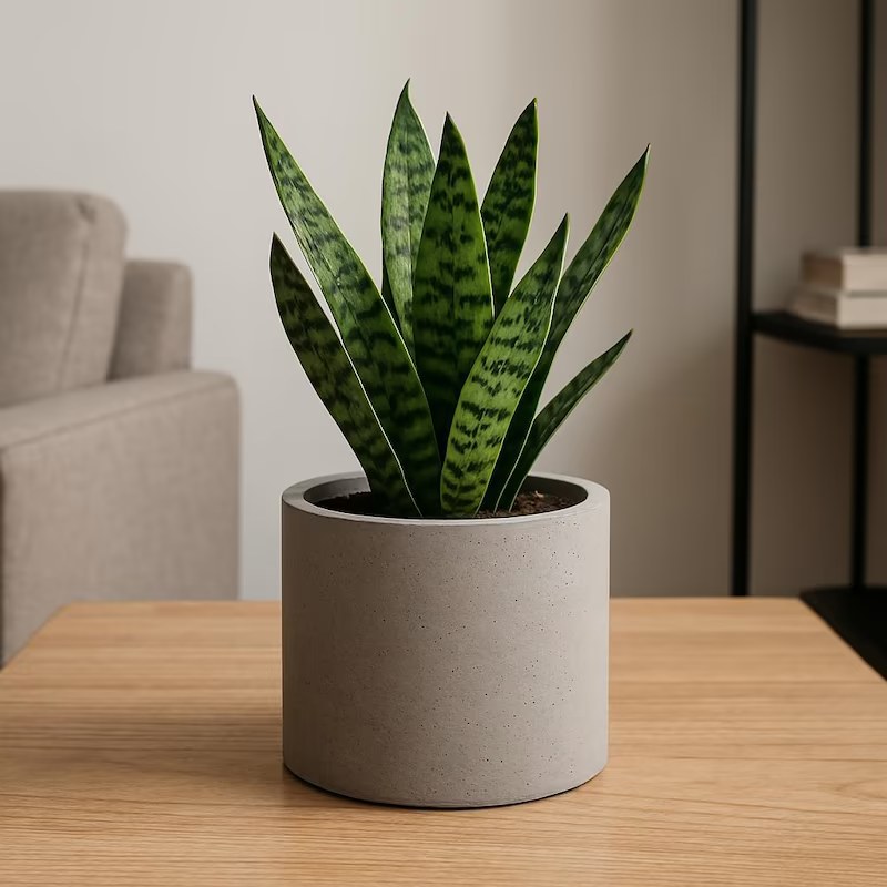 Planter "Cylinder" 160*160mm
